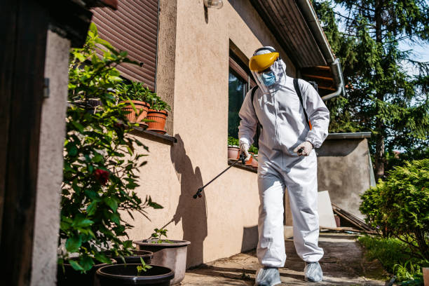 Best Spider Control Near Me  in Deforest, WI