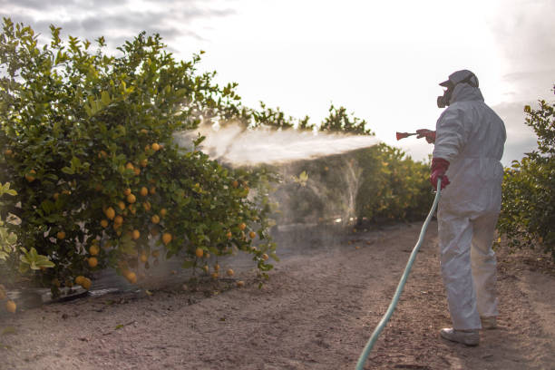 Best Flea Control Services  in Deforest, WI