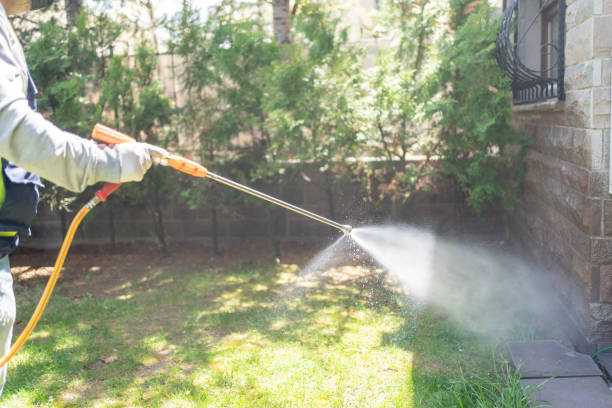 Best Bird Control  in Deforest, WI