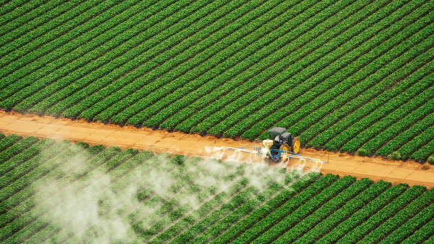 Best Pest Removal Services  in Deforest, WI