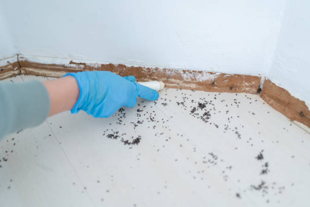 Pest Control Cost in Deforest, WI