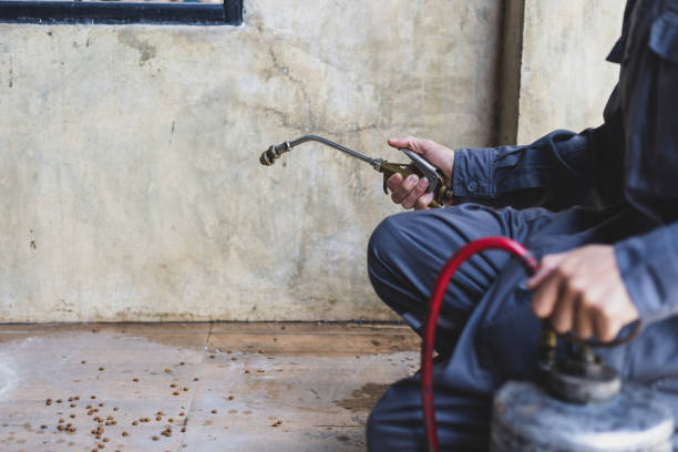 Best Exterminator Services  in Deforest, WI