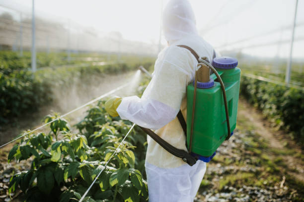 Wildlife Control Services in Deforest, WI